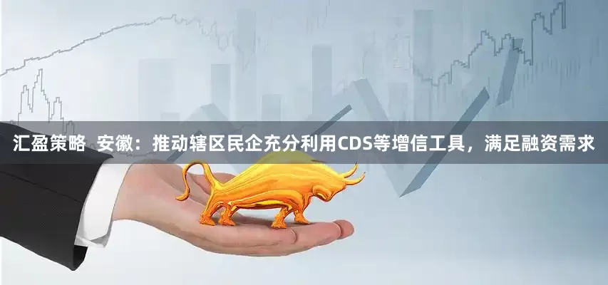 汇盈策略  安徽：推动辖区民企充分利用CDS等增信工具，满足融资需求
