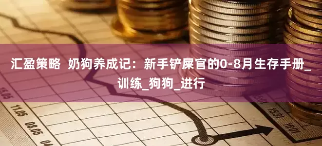 汇盈策略  奶狗养成记：新手铲屎官的0-8月生存手册_训练_狗狗_进行