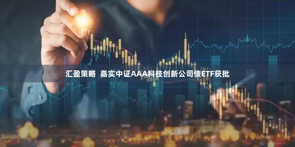 汇盈策略  嘉实中证AAA科技创新公司债ETF获批