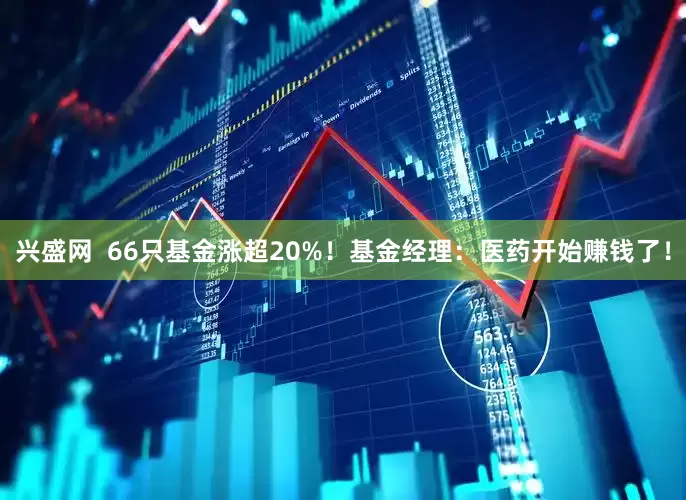 兴盛网 66只基金涨超20%!基金经理:医药开始赚钱了!